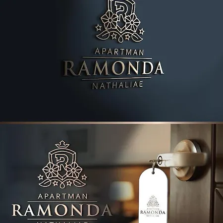 Ramonda - New * Belgrade